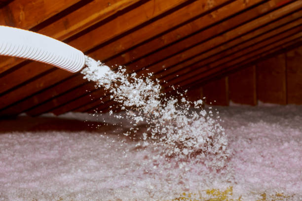 Best Spray Foam Insulation in Cayuga Heights, NY