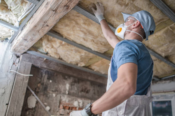 Best Insulation Maintenance and Repair in Cayuga Heights, NY