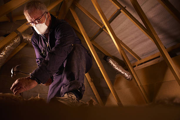 Best Specialized Insulation Services in Cayuga Heights, NY